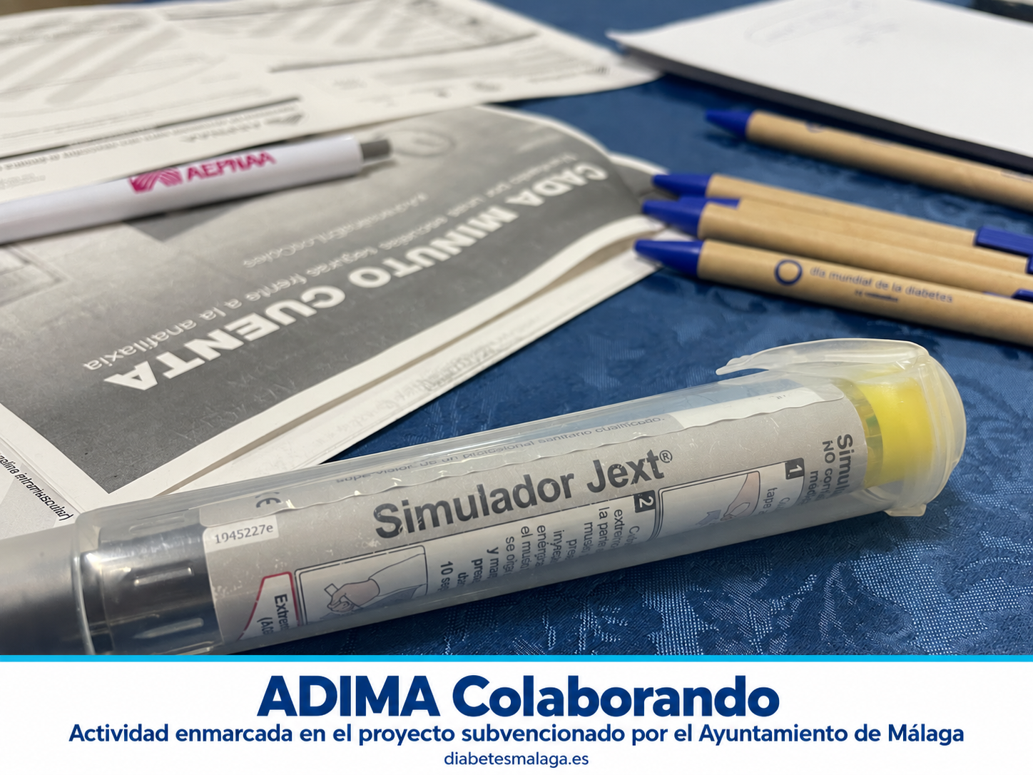 ADIMA reúne a familias y entidades para avanzar hacia una escuela segura e inclusiva para el alumnado con enfermedades crónicas